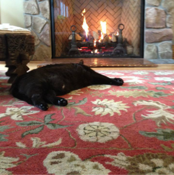 kitteh by the fire
