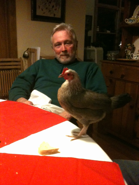 Dad and Pixie Chick