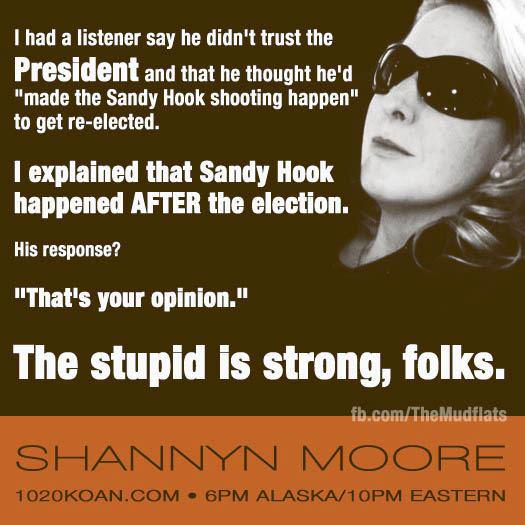 Shannyn Moore Sandy Hook Caller